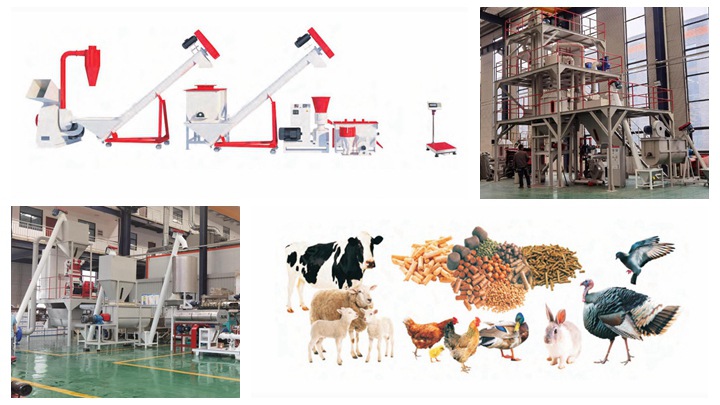 locally made pig feed processing machinery and equipment in Egypt